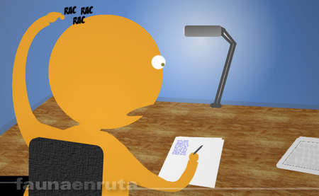 fauna en ruta: factores de riesgo