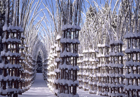Arte Sella, un lugar en Italia donde arte y naturaleza van de la mano