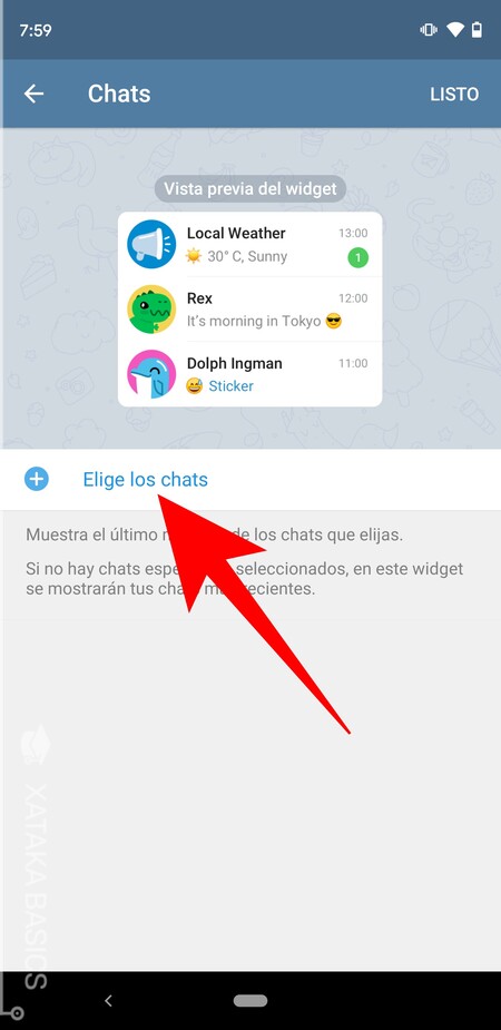Elige Los Chats