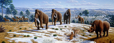 Las colecciones de fósiles de grandes mamíferos tienen 'sesgo de género', y los paleontólogos tratan de comprender la razón