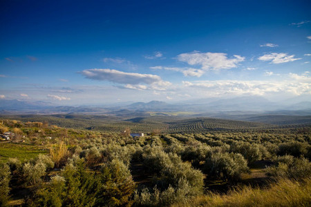 Irse por los cerros de Úbeda