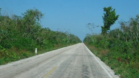 Compañeros de ruta (XXXII)