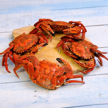 Cómo cocer y abrir nécoras vivas en casa: trucos y consejos para sacar todo el partido al marisco