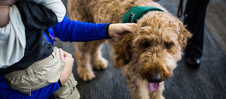 Animales Terapeuticos Aeropuertos