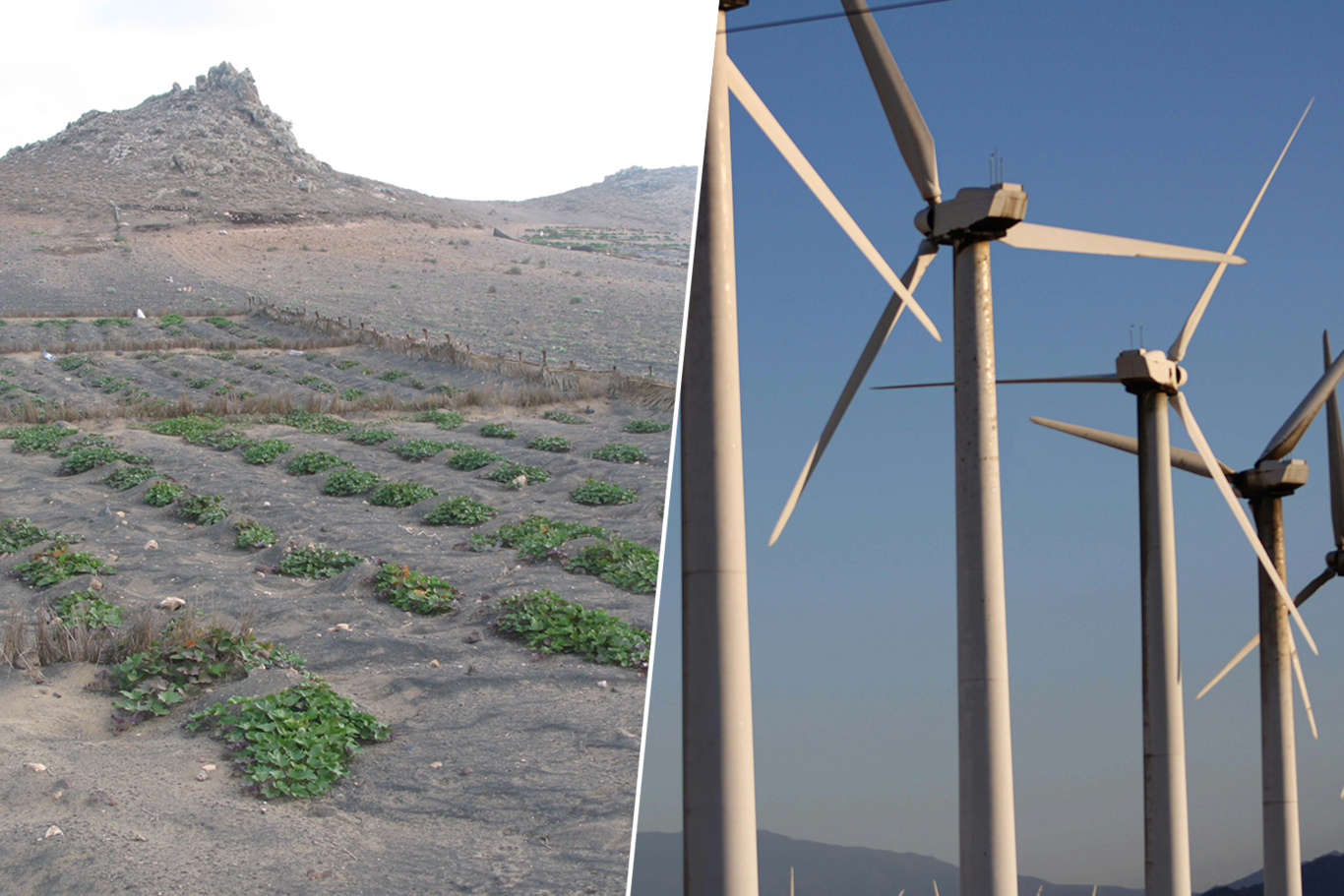 Lanzarote ha construido el laboratorio del futuro agrícola: está regando el desierto con energía eólica – Xataka