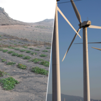 Lanzarote ha construido el laboratorio del futuro agrícola: está regando el desierto con energía eólica