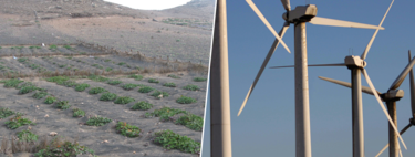 Lanzarote ha construido el laboratorio del futuro agrícola: está regando el desierto con energía eólica