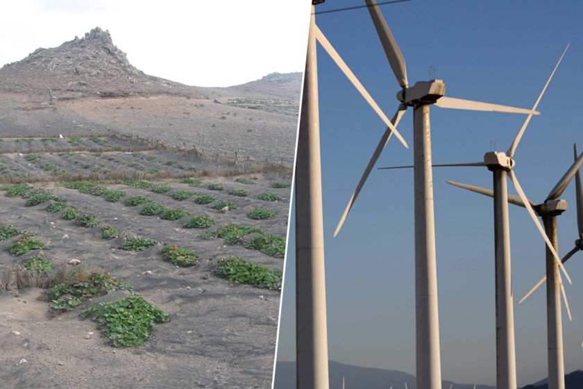 Lanzarote ha construido el laboratorio del futuro agrícola: está regando el desierto con energía eólica