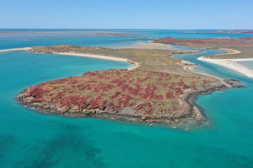 Por primera vez, se descubre un antiguo sitio arqueológico aborigen conservado en el fondo marino y es espectacular