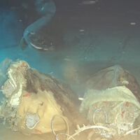 Unos científicos lanzaron una vaca a las profundidades del Mar de China. Descubrieron a ocho invitados inesperados al festín