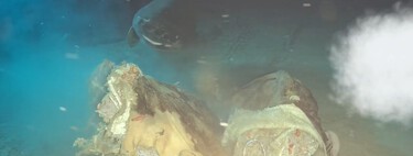 Unos científicos lanzaron una vaca a las profundidades del Mar de China. Descubrieron a ocho invitados inesperados al festín
