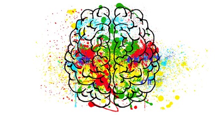 Alimentos que podrían mejorar tu capacidad intelectual