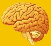 Se relaciona el nacimiento prematuro con la dificultad de aprendizaje