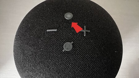 Echo Dot 4 Grande