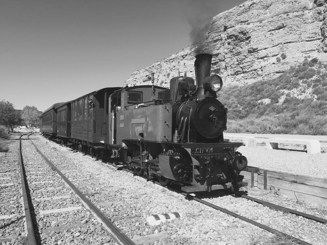 Viaja En El Tren Historico De Arganda