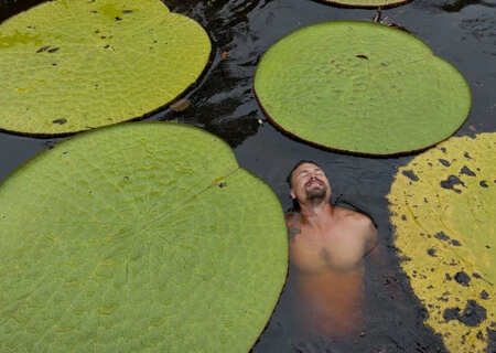 Recurso Selfie Nueva Especie Planta Gigante