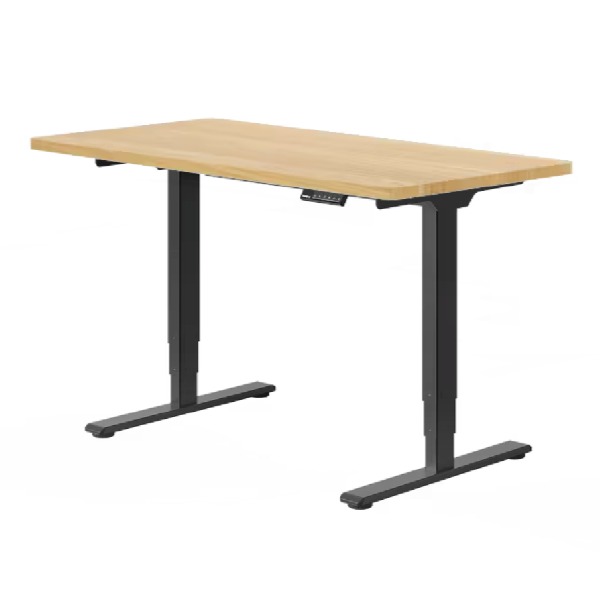 Escritorio elevable Flexispot E5