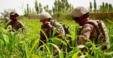 Se buscan ideas para las redes militares del futuro, razón DARPA