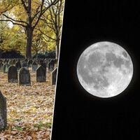 El "cementerio" más grande del Sistema Solar está en la Luna: 70 objetos que llevamos estrellando allí años
