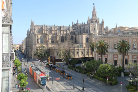 Catedral