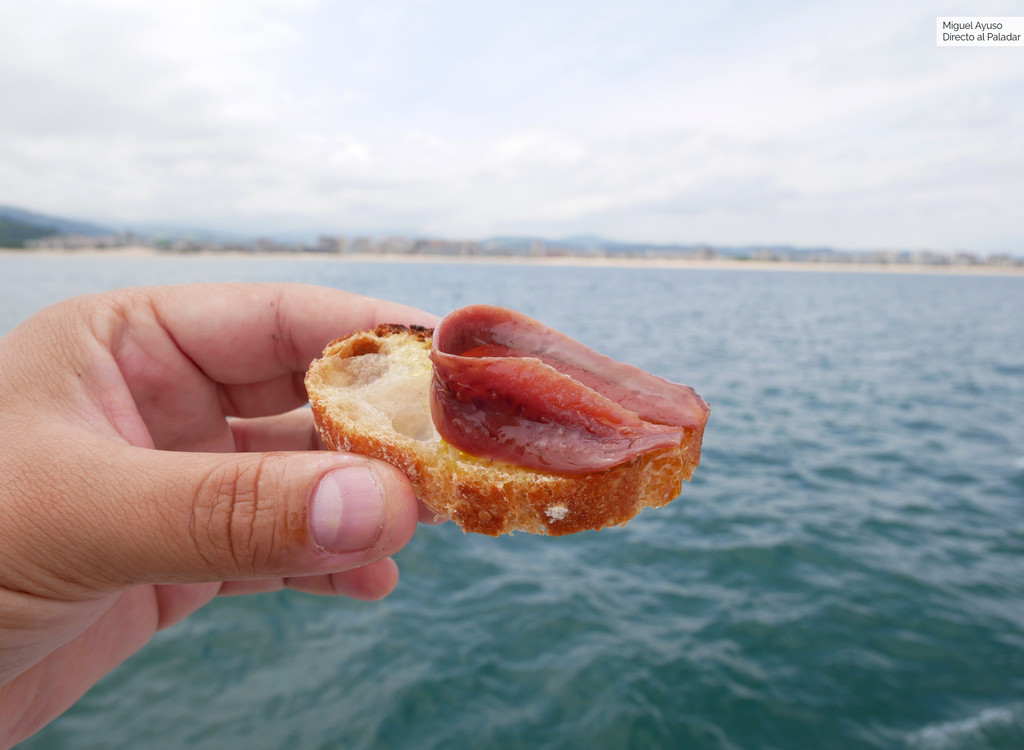 ¿De Albania o de Cantabria? Siete claves para distinguir las mejores anchoas del mundo (y saber lo que compras)