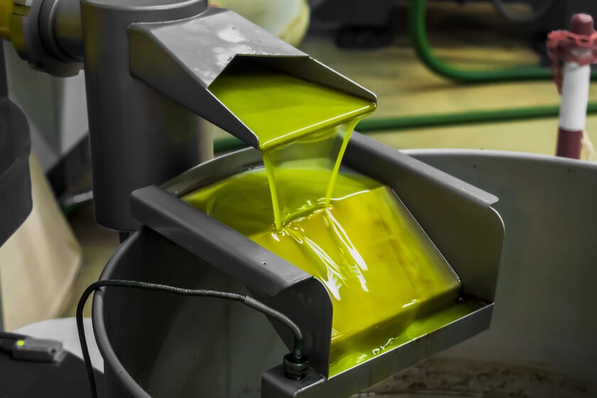 Efecto rebote en el precio del aceite de oliva. Tras rebajar las expectativas de la cosecha, regresa a esta barrera simbólica