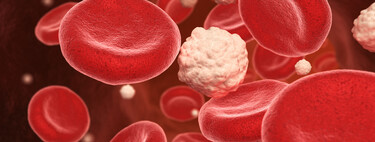 Reducir el colesterol de forma natural es posible introduciendo estos sencillos hábitos