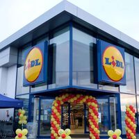 Ha llegado a Lidl la aspiradora potente y económica que elimina manchas y derrames de forma eficaz