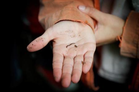 insectos niños