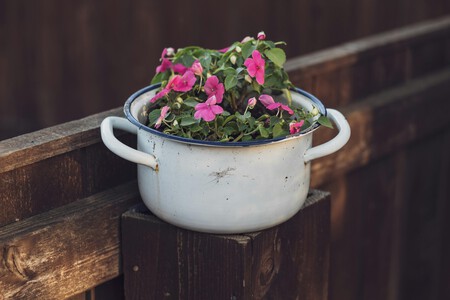 3 ideas creativas para reutilizar las ollas y jarras de peltre despostilladas y convertirlas en macetas para no tirarlas