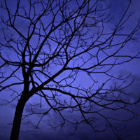 ¿Has contratado a un buen profesional? 