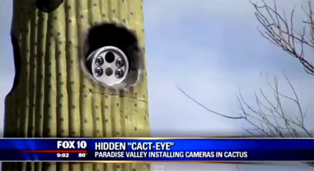 En Arizona esconden cámaras de tráfico... ¡en cactus!