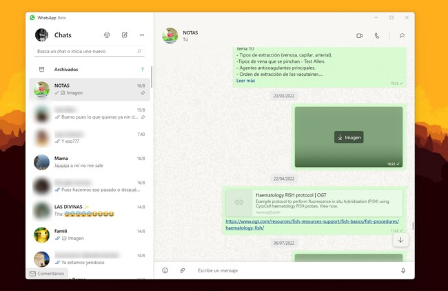 Whatsapp Nuevo