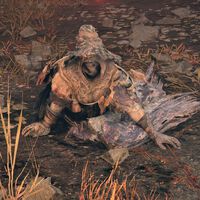 Elden Ring Shadow of the Erdtree: cómo completar la quest de Igon