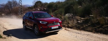 Para los amantes del aire libre: os presentamos el Toyota RAV4