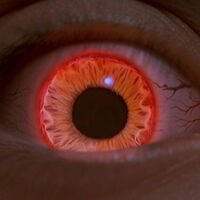 Hoy en TV, una de las películas más infravaloradas de John Carpenter: el notable remake de un clásico del terror