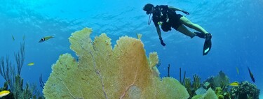Practicar submarinismo en Centroamérica: estos son los mejores lugares