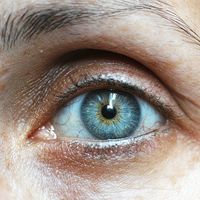 Si eres emprendedor, crea y cuida tu marca personal 