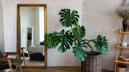 Este es el error de limpieza por el que tus espejos siempre se ven con manchas o rayas