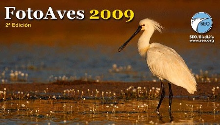Concurso FotoAves 2009