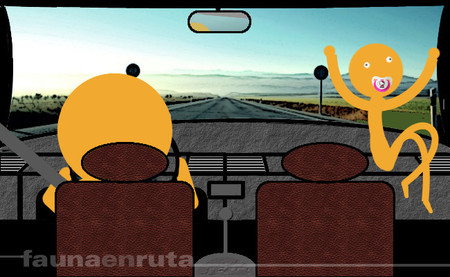 fauna en ruta: sistemas de retención infantil