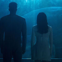 Hace 40 años, una película de Star Trek ayudó a salvar a una especie en peligro de extinción 