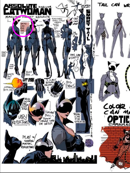 Absolute Catwoman Disenos