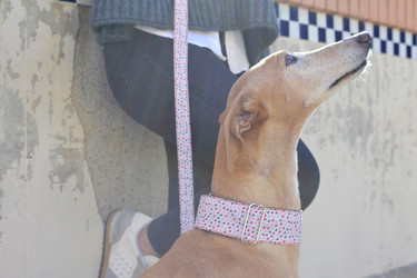 Tu perro se merece el mejor regalo de San Valentín, y Brott Barcelona viene al rescate 