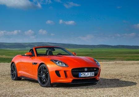 Los 30 candidatos al Car of the Year 2014 son...