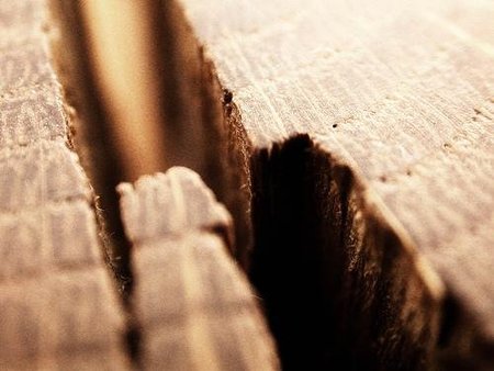 Datos sobre el Impuesto de Sociedades