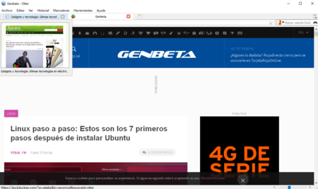 Otter, otro navegador de código abierto, más cerca de la versión definitiva