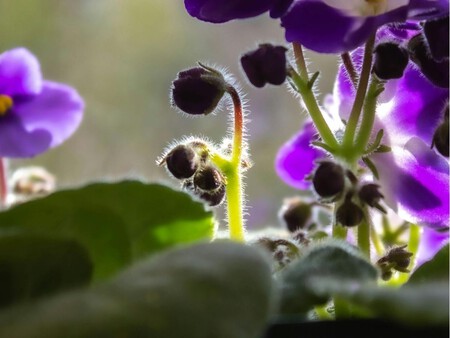 Copia De Plantilla 1200x900 67