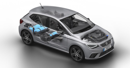 SEAT Ibiza TGI Radiografia