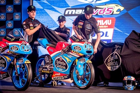 Estrella Galicia